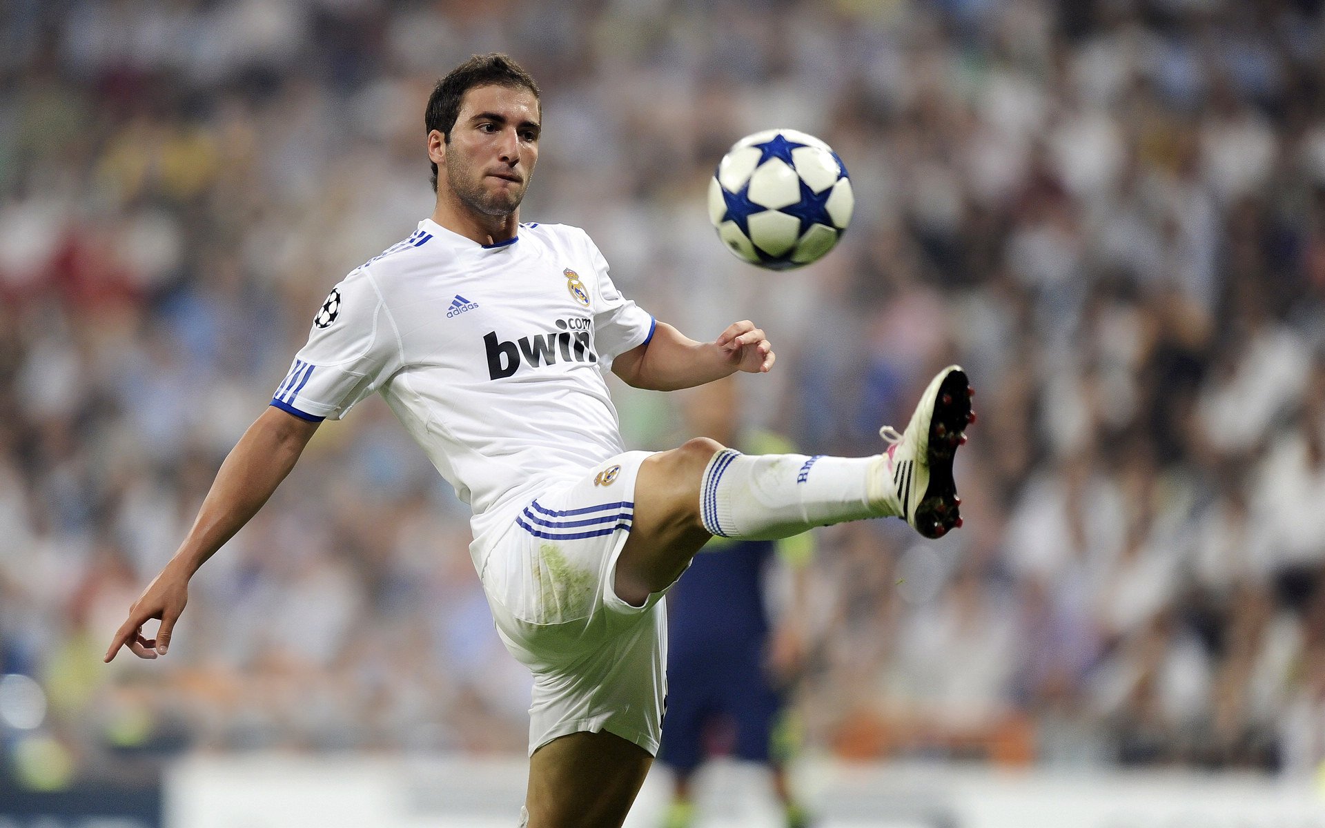 当实力成为唯一语言,布鲁诺的证明与埃及的启示